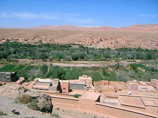 Foto - Kumlar altında kalmak üzere olan vaha kurtarıldı