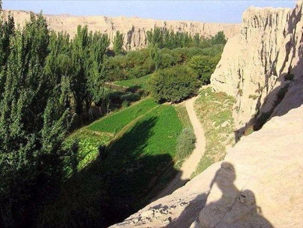 Foto - Kumlar altında kalmak üzere olan vaha kurtarıldı