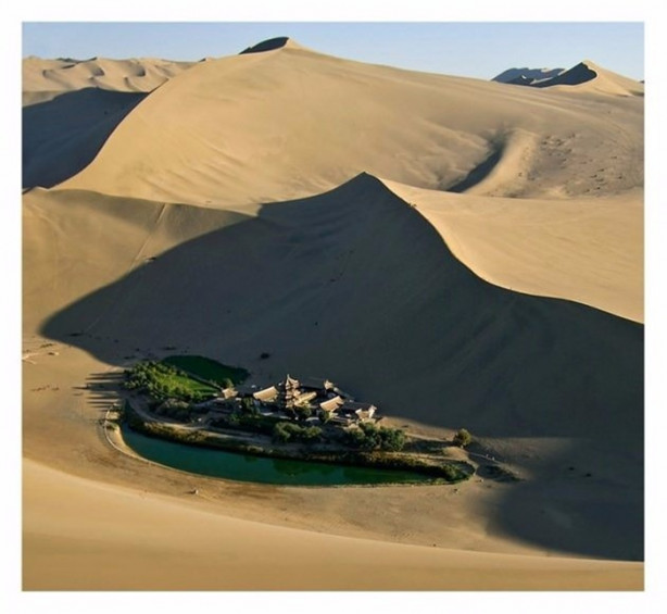 Foto - Kumlar altında kalmak üzere olan vaha kurtarıldı