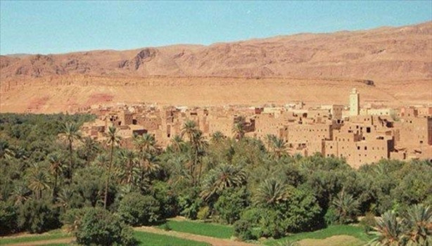 Foto - Kumlar altında kalmak üzere olan vaha kurtarıldı