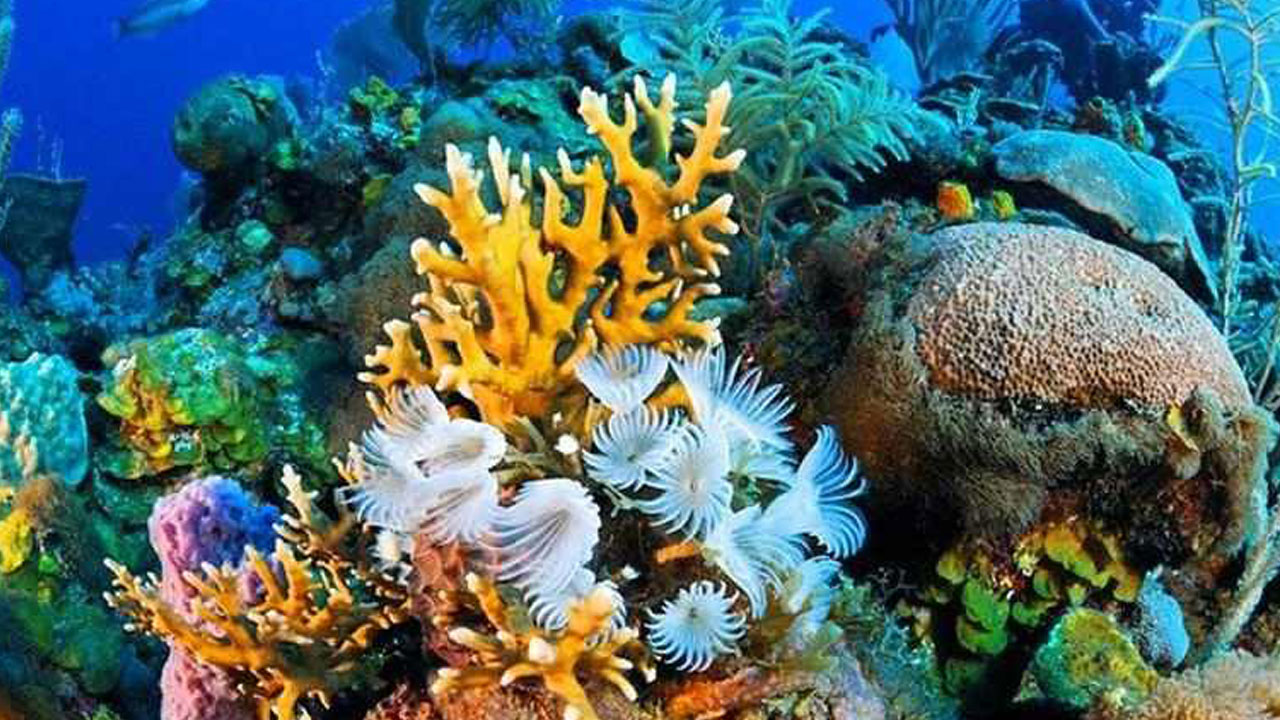 Foto - Kumlara gömülü bir masal! Vize derdi olmayan egzotik bir tatile ne dersiniz?