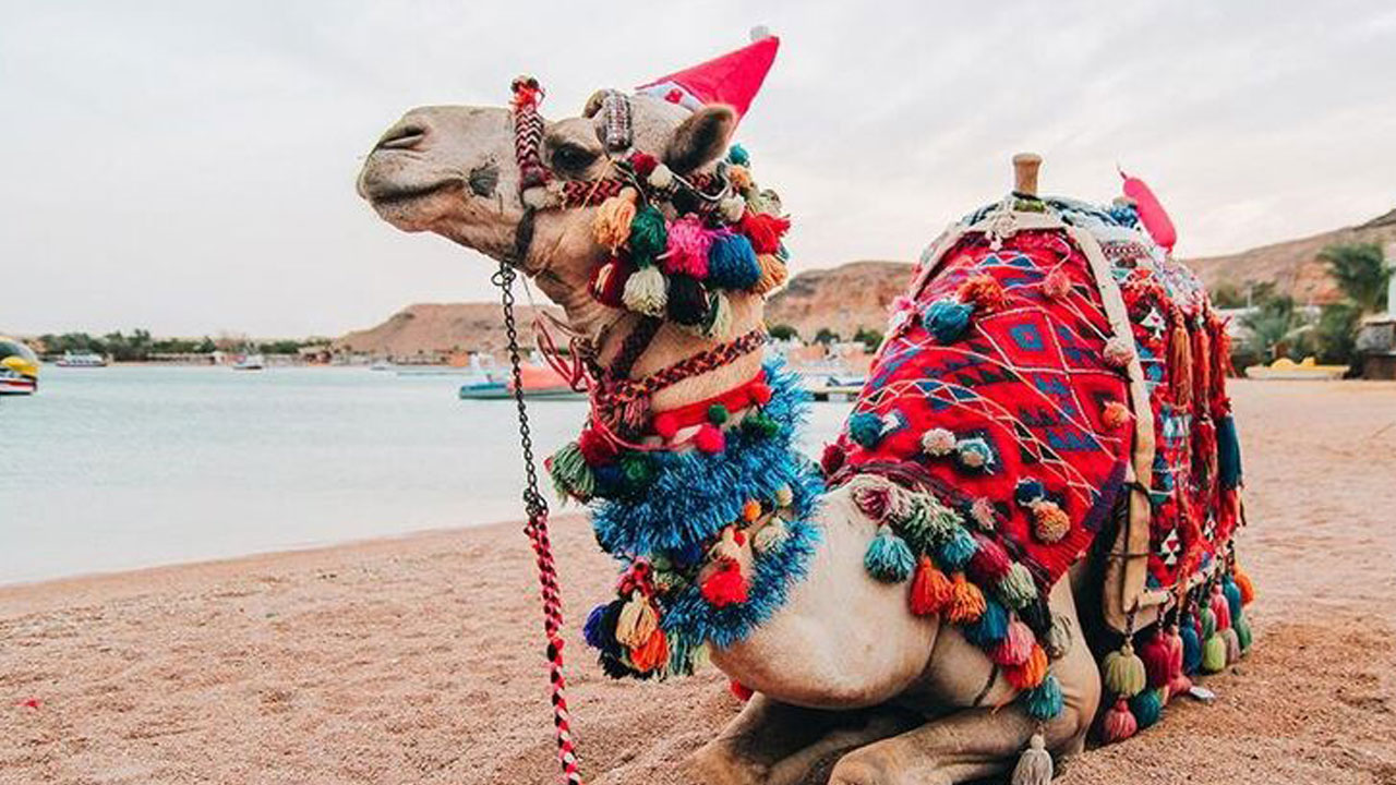 Foto - Kumlara gömülü bir masal! Vize derdi olmayan egzotik bir tatile ne dersiniz?