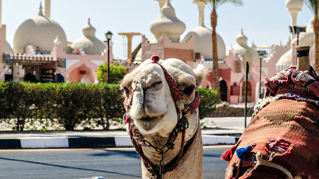 Foto - Kumlara gömülü bir masal! Vize derdi olmayan egzotik bir tatile ne dersiniz?