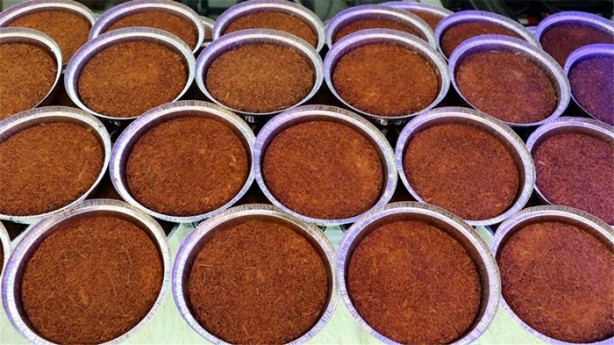 Foto - Künefe Avrupa yollarında