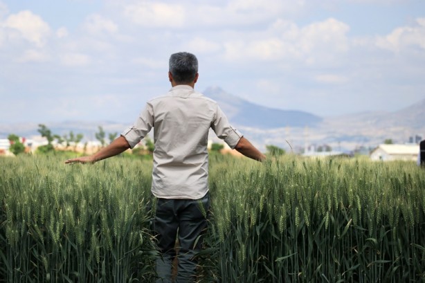 Foto - Kuraklığa dayanıklı hububat tanıtımı
