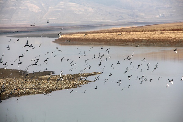 Foto - 'Kuraklığın en net fotoğrafı' deniliyordu! Herkesi kaygılandıran o alanın son hali