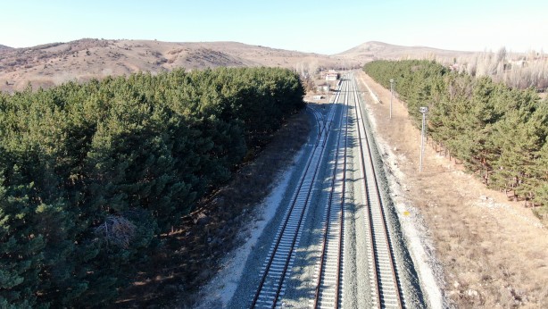 Foto - Kuraklığın ortasında mini orman Dikiliş nedenini duyanlar çok şaşırıyor