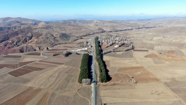 Foto - Kuraklığın ortasında mini orman Dikiliş nedenini duyanlar çok şaşırıyor