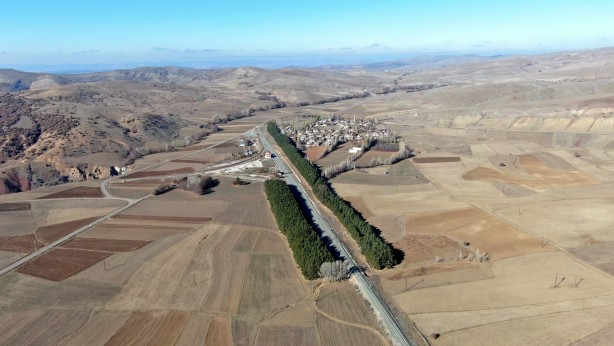 Kuraklığın ortasında mini orman Dikiliş nedenini duyanlar çok şaşırıyor