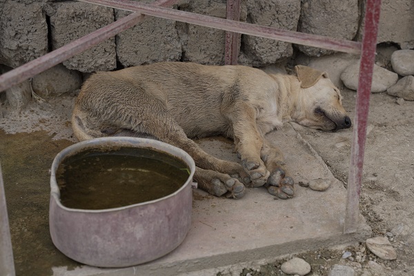 Foto - Kuraklığın pençesindeler! İran öyle bir şey yaptı ki