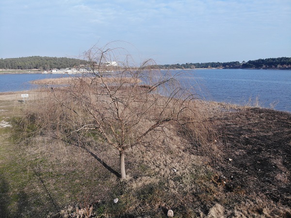 Foto - Kuraklık bir göleti daha etkiledi! Sular çekildi