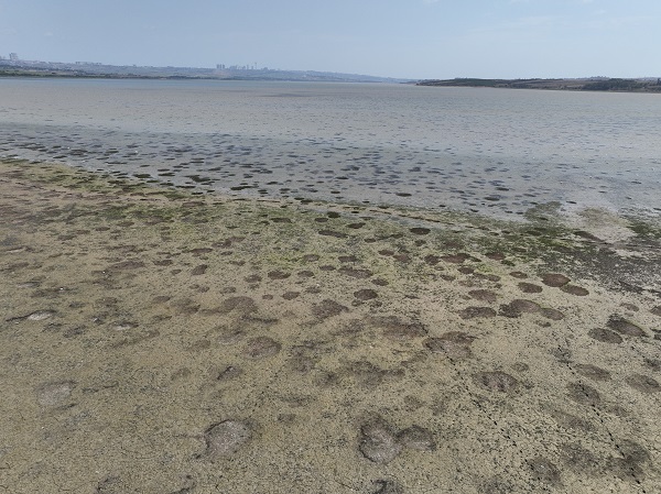 Foto - Kuraklık böyle görüntülendi! İstanbul barajları alarm veriyor