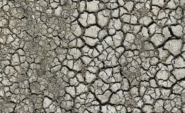 Kuraklık böyle görüntülendi! İstanbul barajları alarm veriyor