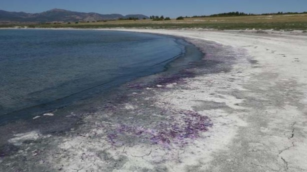 Foto - Kuraklık Burdur Gölü’nü de vurdu! Sahil morardı