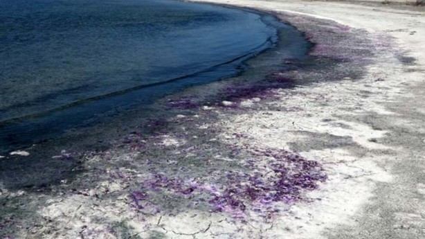 Foto - Kuraklık Burdur Gölü’nü de vurdu! Sahil morardı