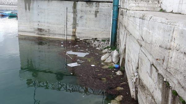 Foto - Kuraklık devam ediyor! Balıkçılık yok oluyor