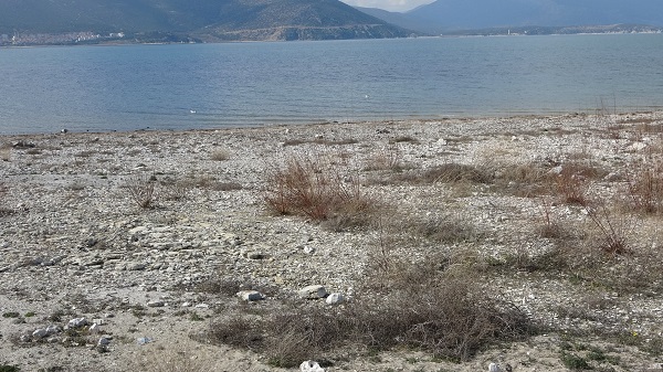 Foto - Kuraklık devam ediyor! Balıkçılık yok oluyor