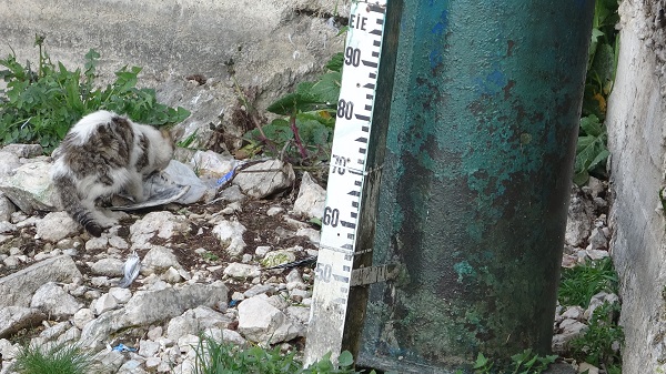 Foto - Kuraklık devam ediyor! Balıkçılık yok oluyor