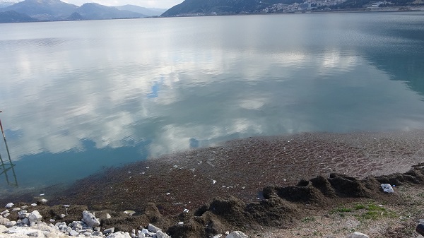 Foto - Kuraklık devam ediyor! Balıkçılık yok oluyor