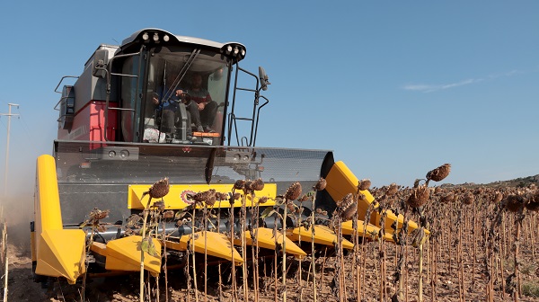 Foto - Kuraklık en çok onları etkiledi