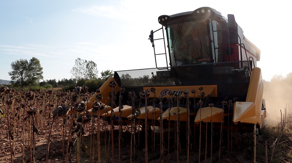 Foto - Kuraklık en çok onları etkiledi