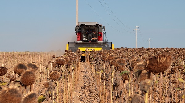 Foto - Kuraklık en çok onları etkiledi