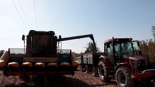 Foto - Kuraklık en çok onları etkiledi
