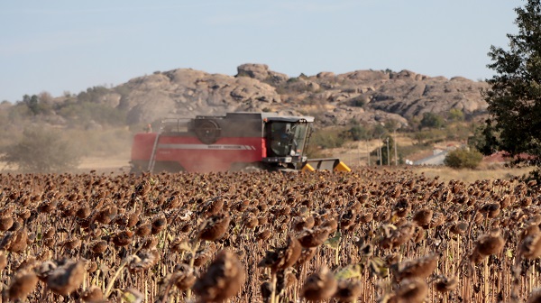 Foto - Kuraklık en çok onları etkiledi