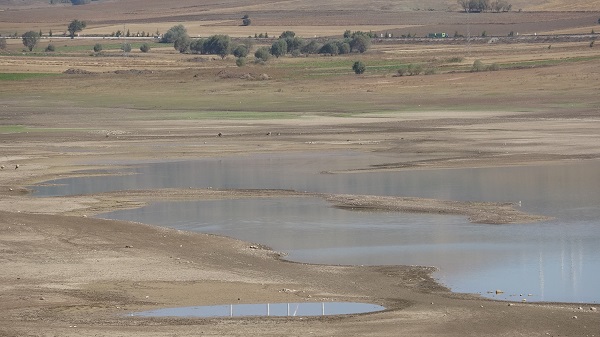 Foto - Kuraklık gelecek adına korkutuyor! Su seviyesi yüzde 80 düştü bakın ortaya ne çıktı