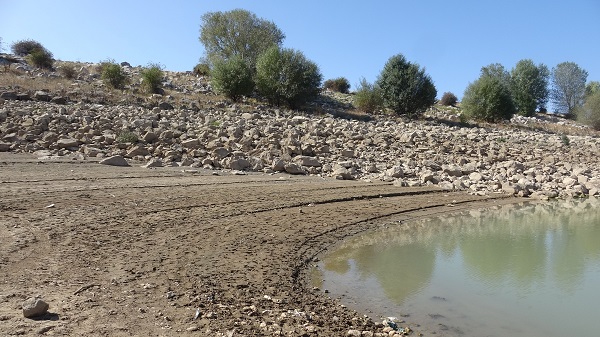 Foto - Kuraklık gelecek adına korkutuyor! Su seviyesi yüzde 80 düştü bakın ortaya ne çıktı