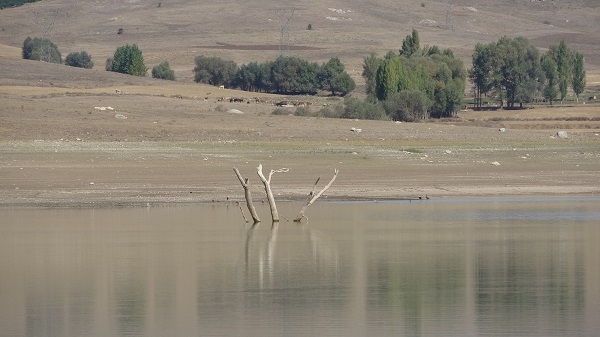 Foto - Kuraklık gelecek adına korkutuyor! Su seviyesi yüzde 80 düştü bakın ortaya ne çıktı