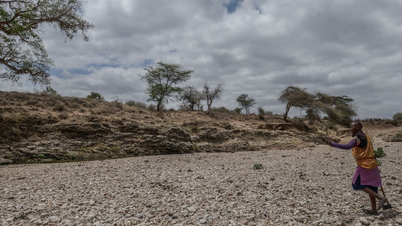 Foto - Kuraklık kıskacında bir ülke! Afrika’nın kalbinden çaresizlik