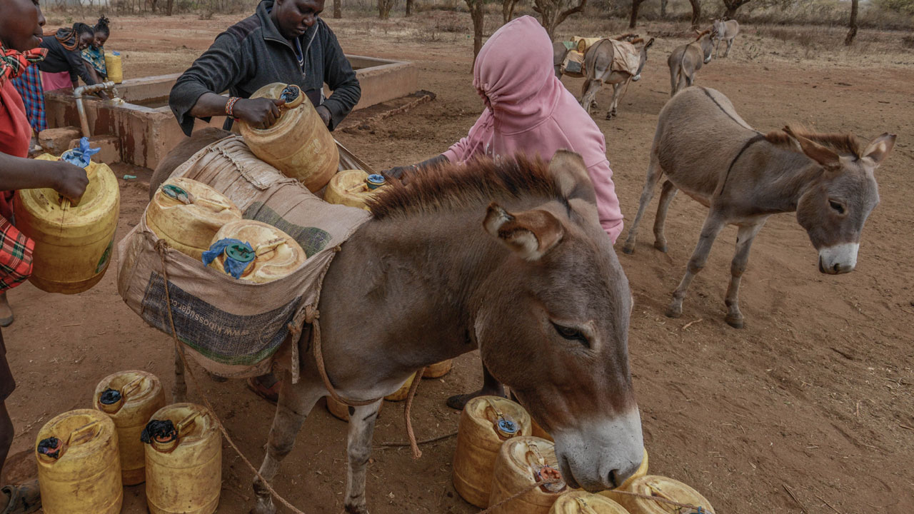 Kuraklık kıskacında bir ülke! Afrika’nın kalbinden çaresizlik