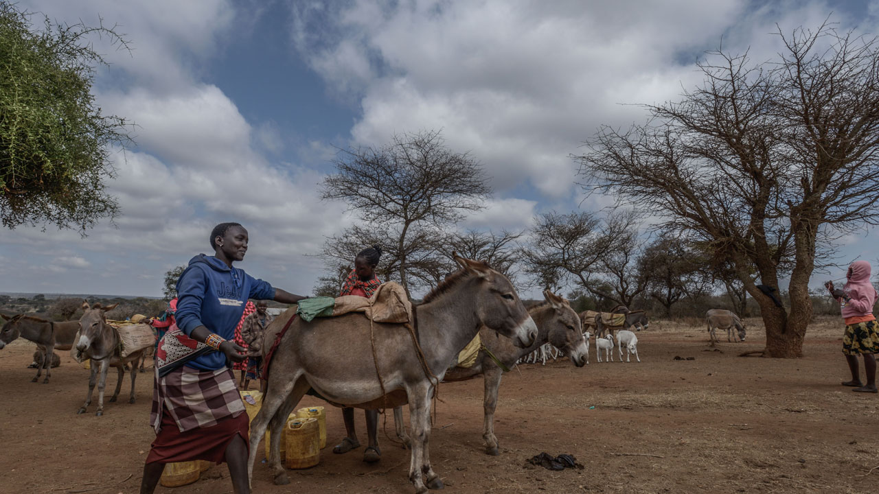 Foto - Kuraklık kıskacında bir ülke! Afrika’nın kalbinden çaresizlik