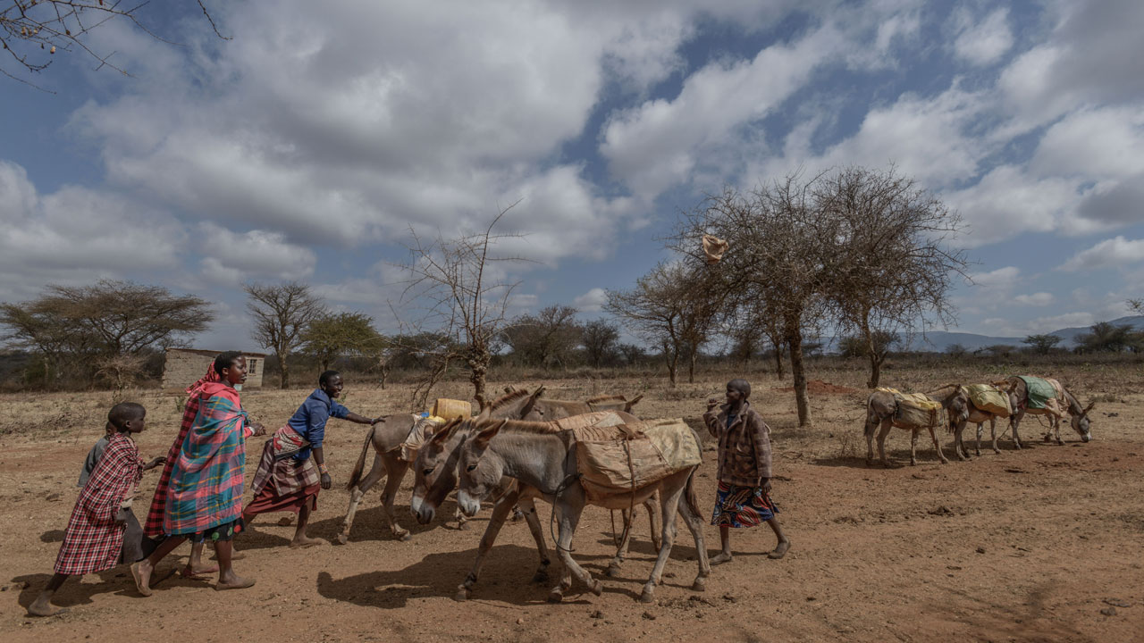Foto - Kuraklık kıskacında bir ülke! Afrika’nın kalbinden çaresizlik