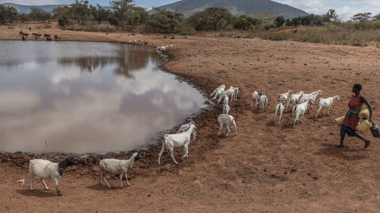 Foto - Kuraklık kıskacında bir ülke! Afrika’nın kalbinden çaresizlik