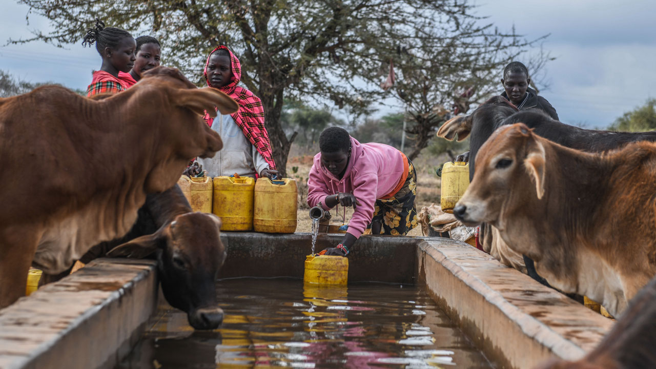 Foto - Kuraklık kıskacında bir ülke! Afrika’nın kalbinden çaresizlik