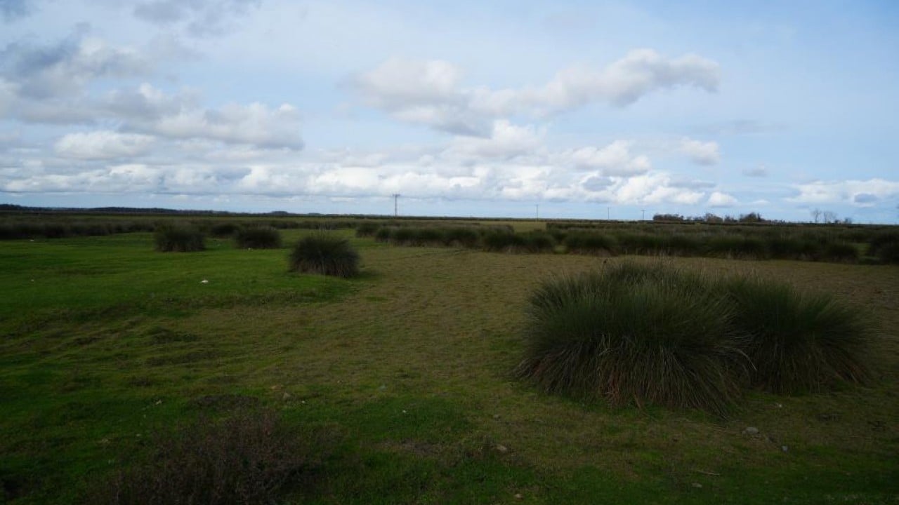 Kuraklık Kızılırmak deltasını vurdu