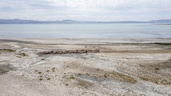 Foto - Kuraklık nedeniyle küçülmeye devam ediyor! Van Gölü’nde son durum görüntülendi