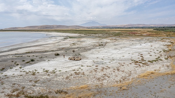 Foto - Kuraklık nedeniyle küçülmeye devam ediyor! Van Gölü’nde son durum görüntülendi