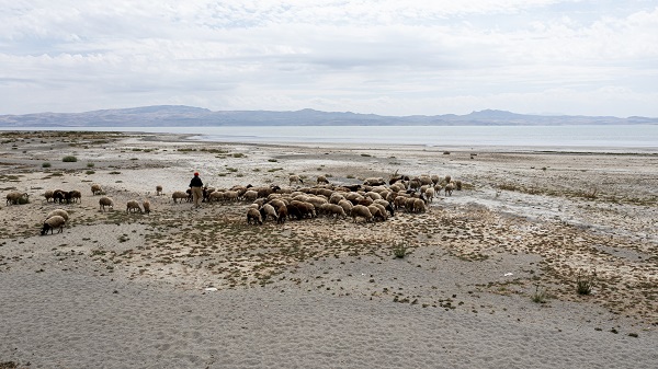 Foto - Kuraklık nedeniyle küçülmeye devam ediyor! Van Gölü’nde son durum görüntülendi