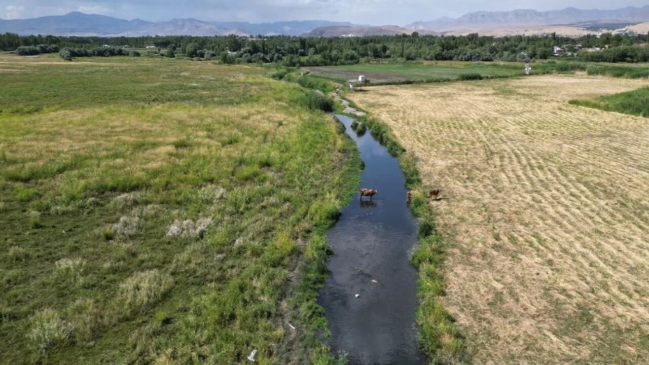 Kuraklık o gölü vurdu! Eskiden tekne ile geçiyorlardı şimdi yürüyerek