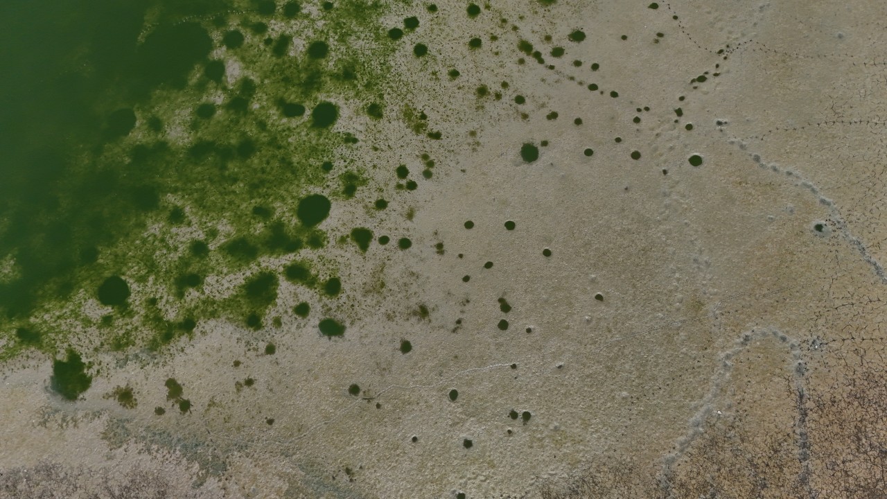 Foto - Kuraklık o şehrimizi de vurdu