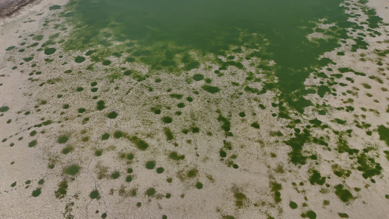 Foto - Kuraklık o şehrimizi de vurdu