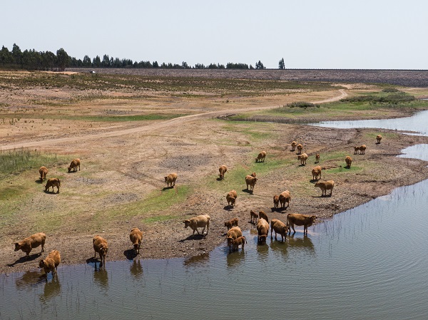 Foto - Kuraklık o ülkeyi de vurdu