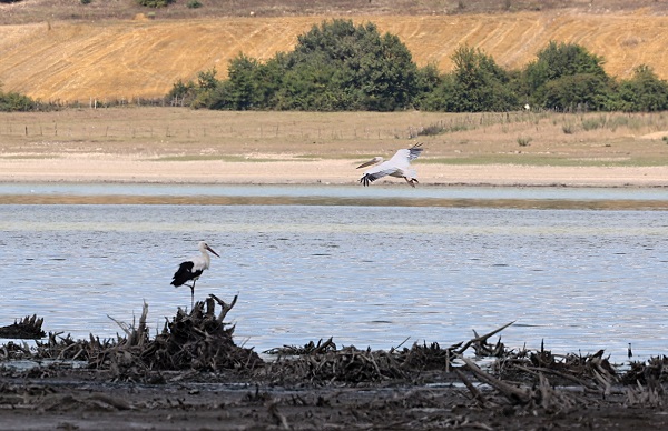 Foto - Kuraklık orayı da vurdu! Ladik Gölü küçülüyor