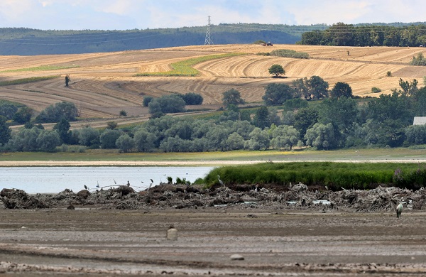 Foto - Kuraklık orayı da vurdu! Ladik Gölü küçülüyor