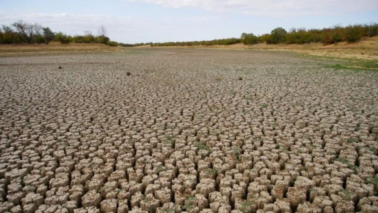 Foto - Kuraklık su kaynaklarını bitiriyor! O gölet tamamen kurudu