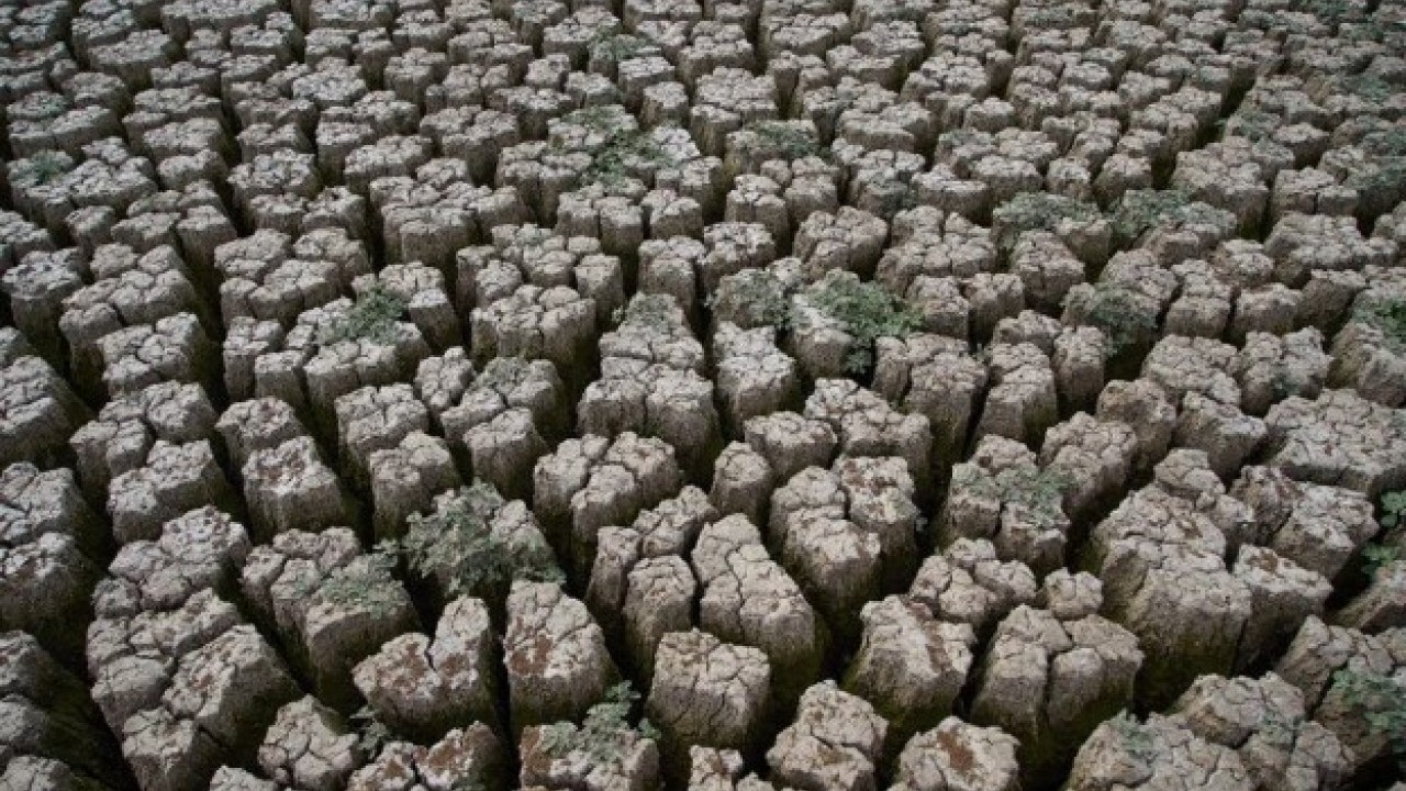 Foto - Kuraklık su kaynaklarını bitiriyor! O gölet tamamen kurudu