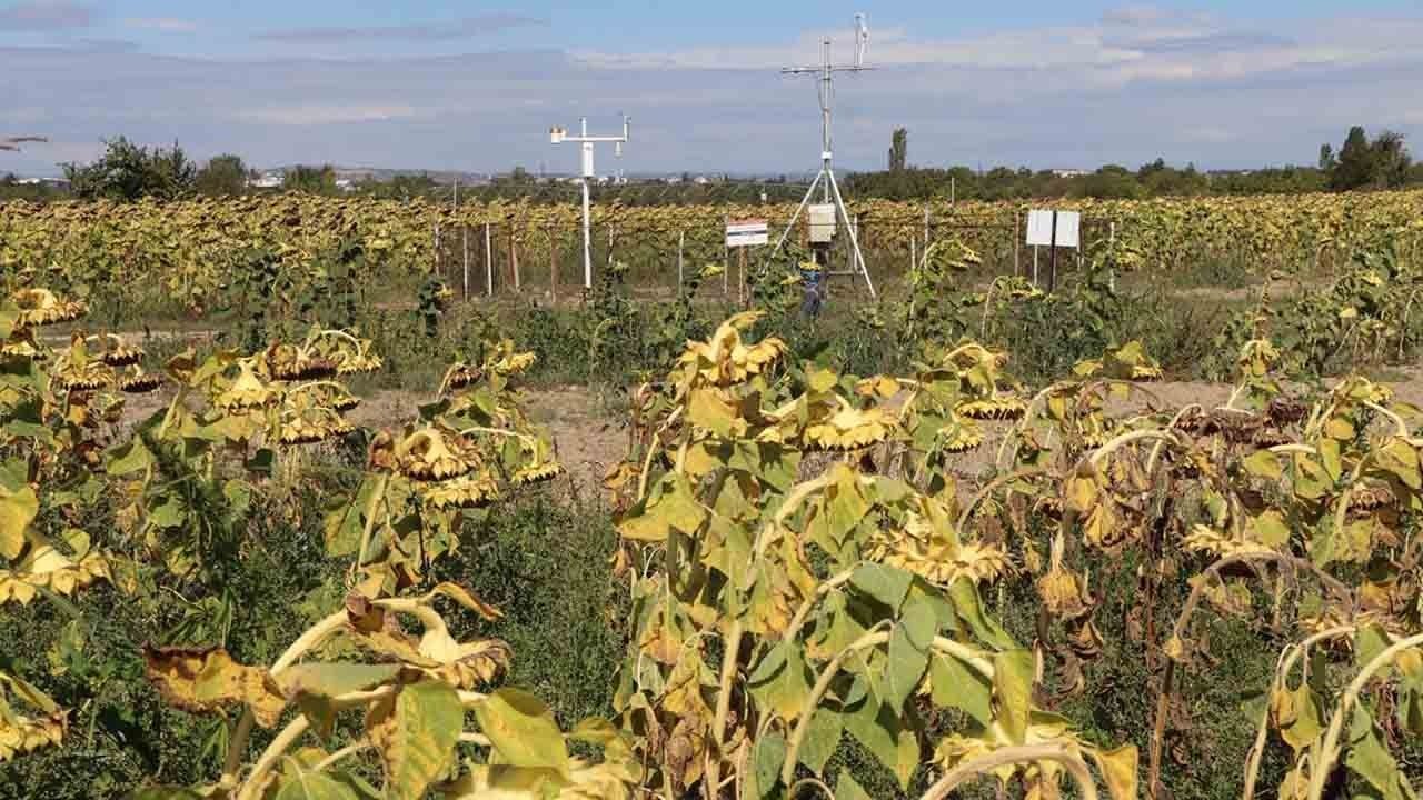 Foto - Kuraklık tahmin sistemi devrede: Tarımsal sulamada yapay zeka dönemi